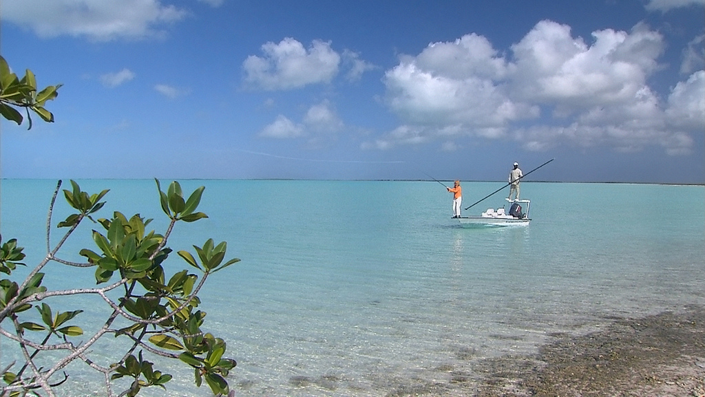 bonefishing in the caribbean