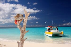 Planning Day-long Turks and Caicos Tours