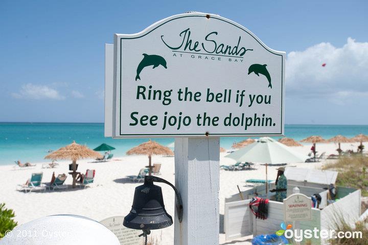 kids activities turks and caicos