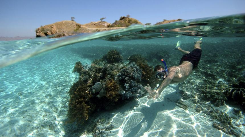 snorkeling in turks and caicos