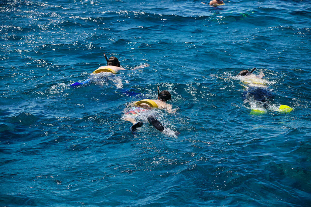 providenciales snorkeling tours