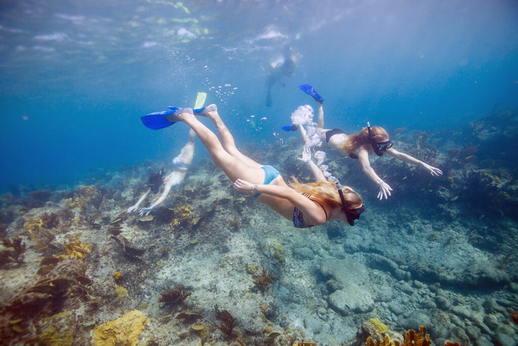 Bight Reef Snorkeling