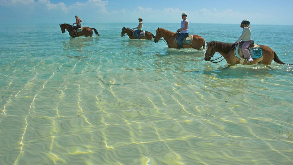 provo pony tours turks caicos